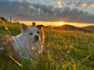 IMG_5312 2 IMG_5312 2