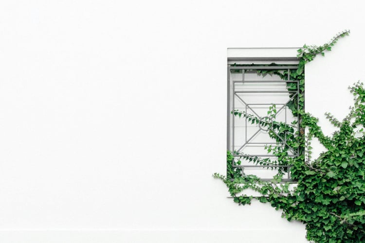 ben-neale-29w9FiMWSr8-unsplash